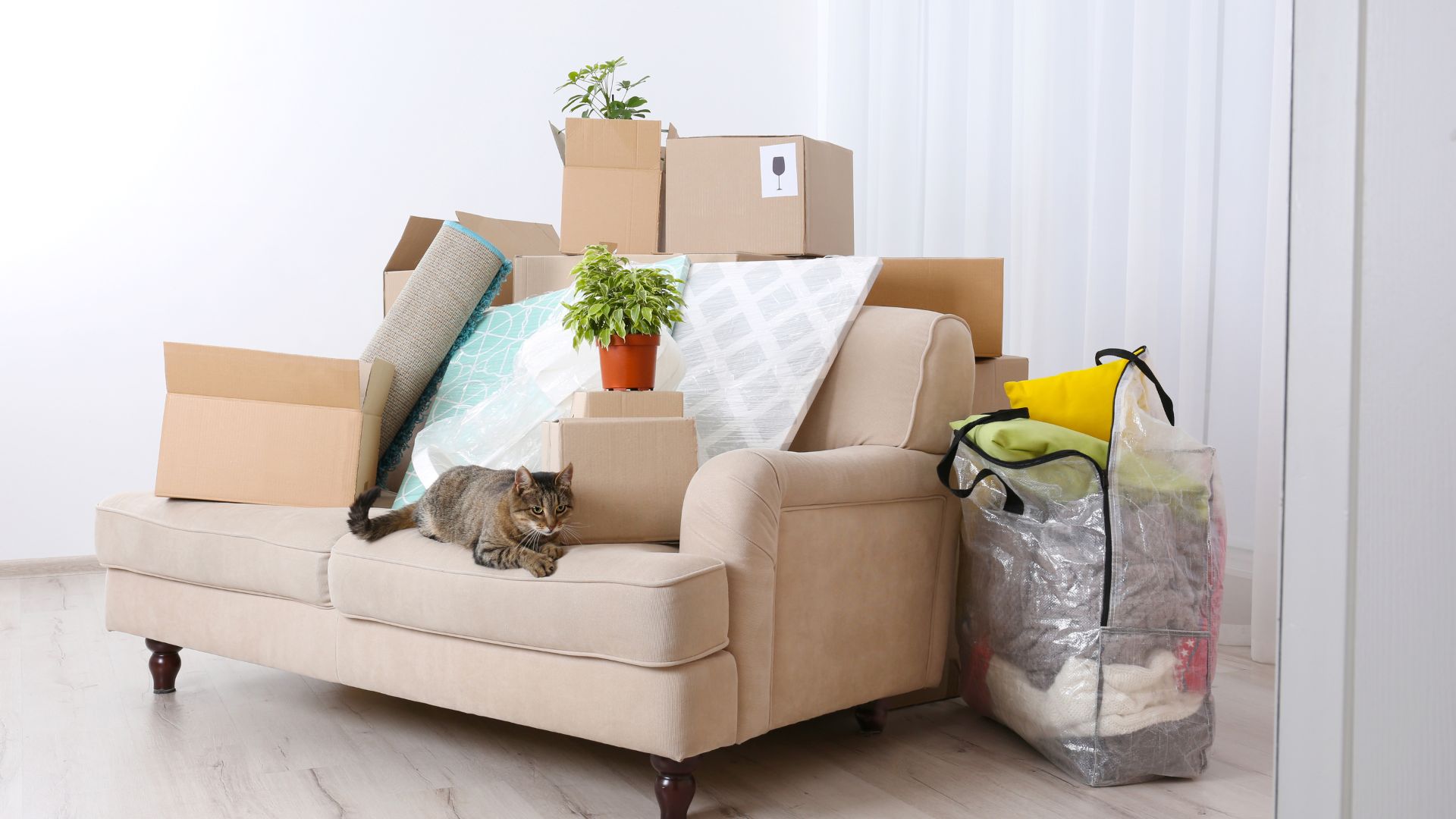 Patel Umzüge und Transporte Hamburg